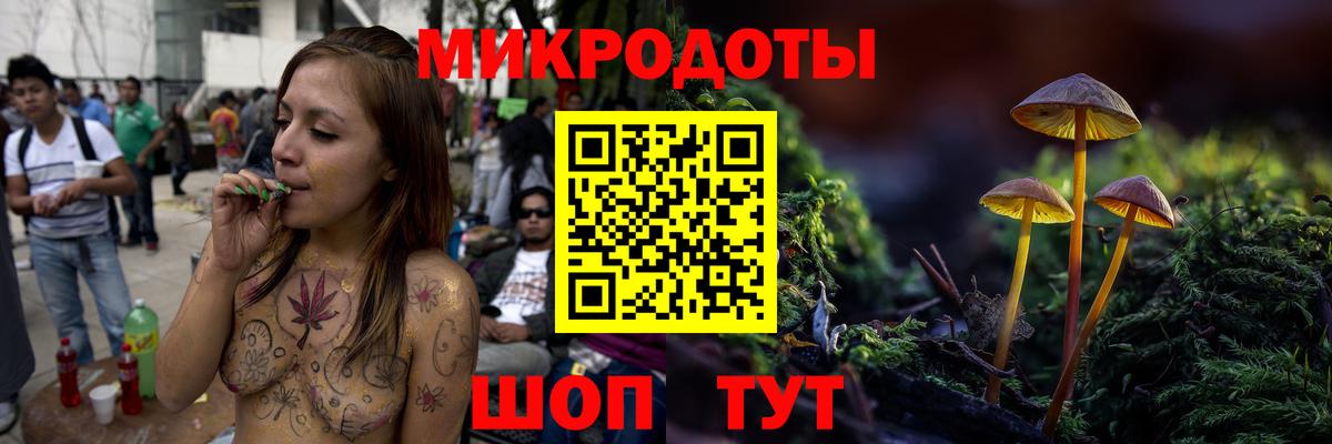 Галлюциногенные грибы Psilocybine cubensis Заволжье